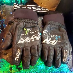 Hestra Ski Gloves